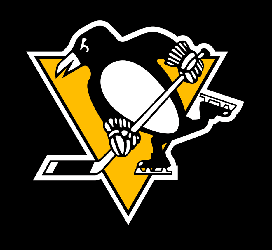 Pittsburgh Penguins Learn to Play