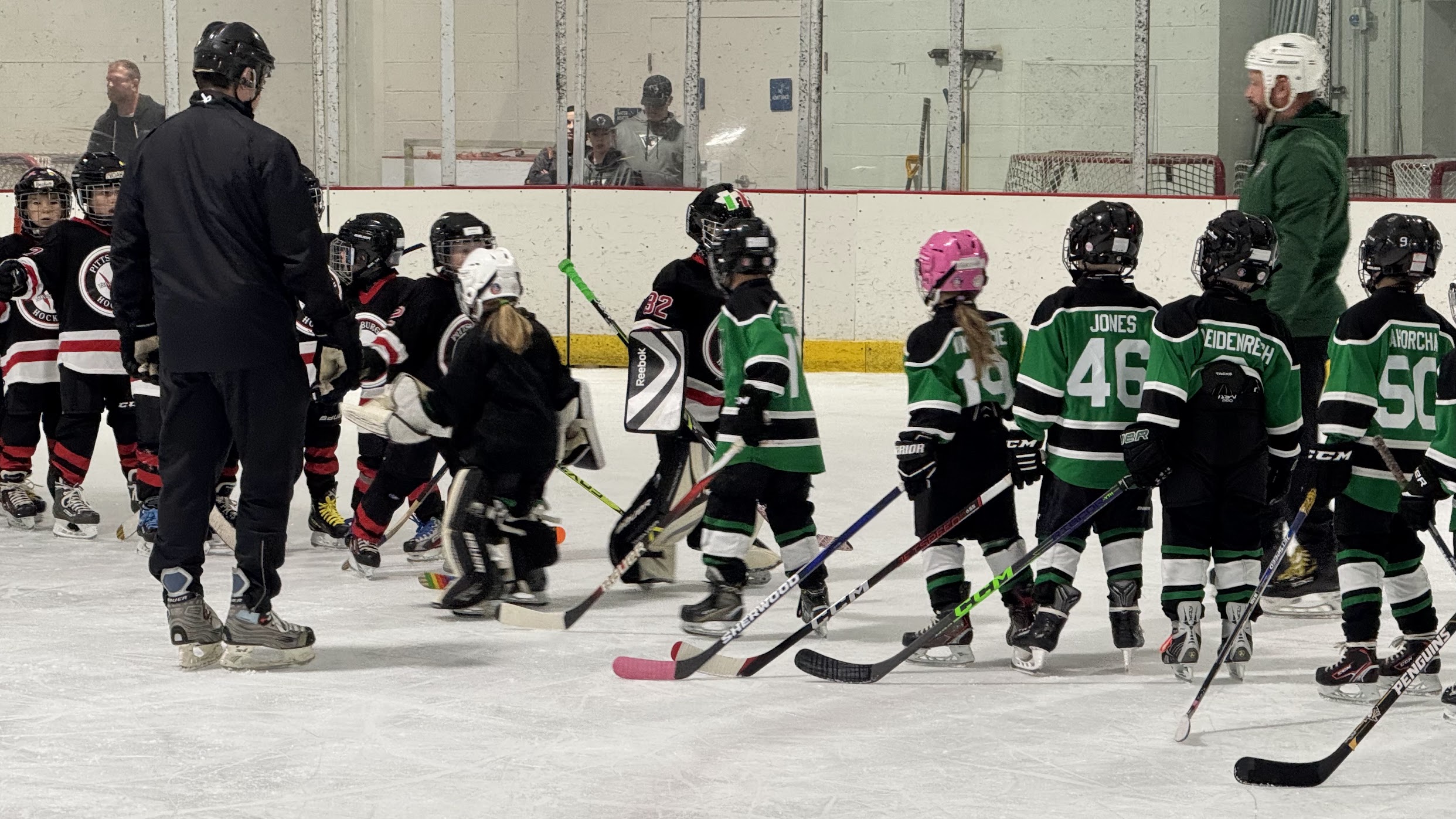 SHAHA Panthers players on the ice