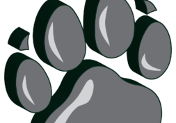 Paw