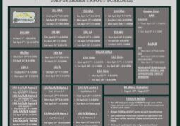 SHAHA Tryout Flyer 2023 - V11
